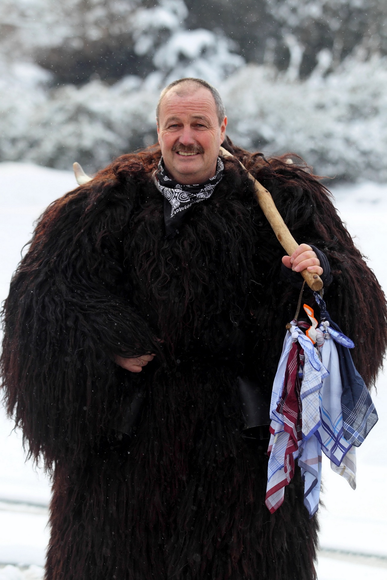 Igor Majnik